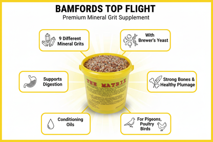 Bamfords Pigeon Gem Matrix Infographic
