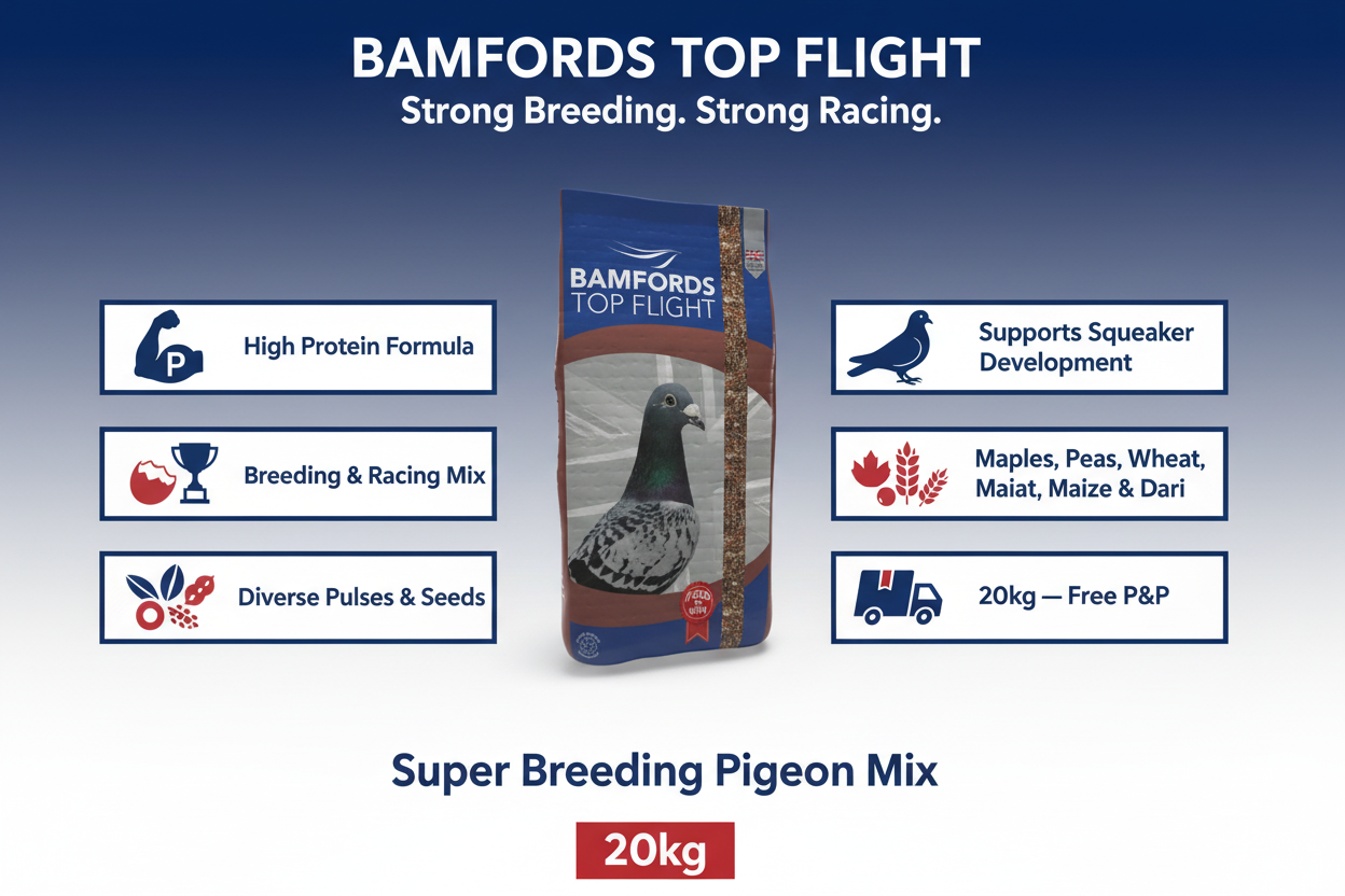 Bamfords Super Breeding Infographic