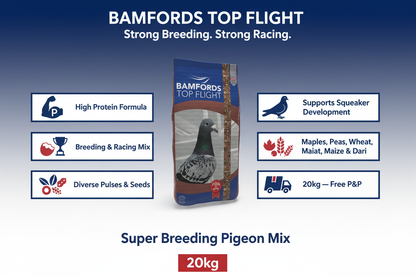 Bamfords Super Breeding Infographic