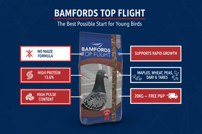Bamfords Super Young Bird Infographic