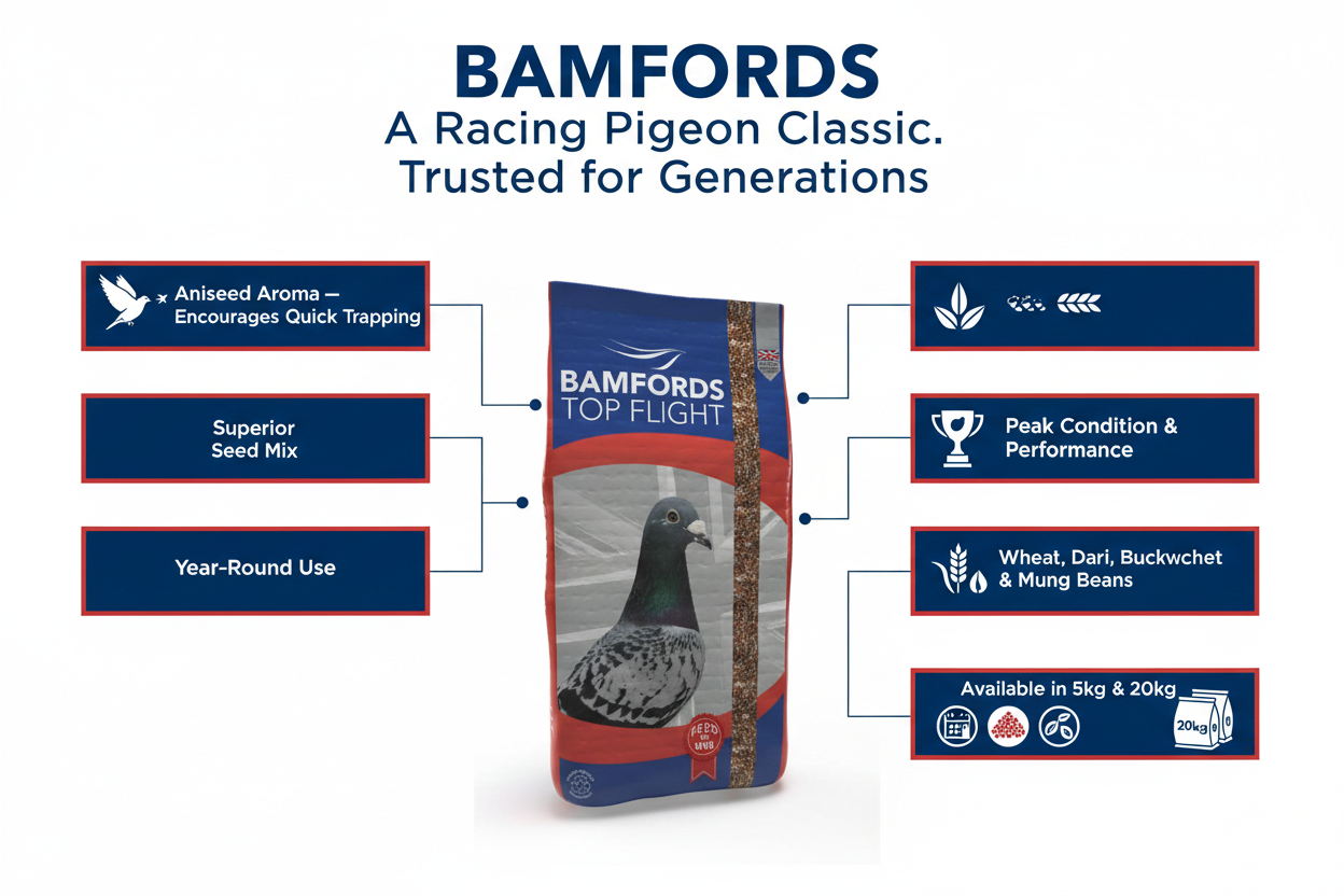 Bamfords TK Pigeon Conditioner Infographic