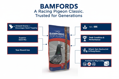Bamfords TK Pigeon Conditioner Infographic