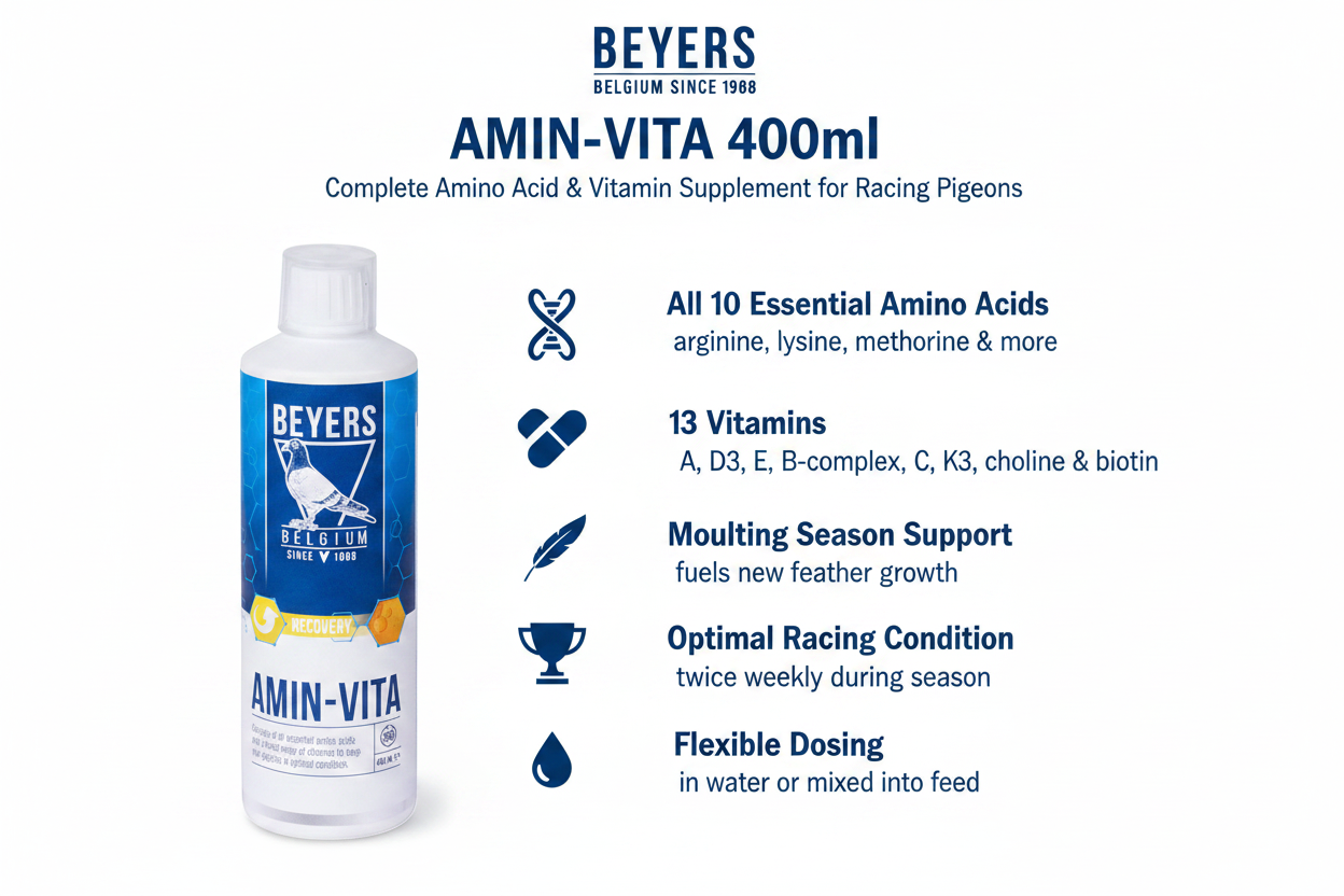 Beyers Amin-Vita Infographic