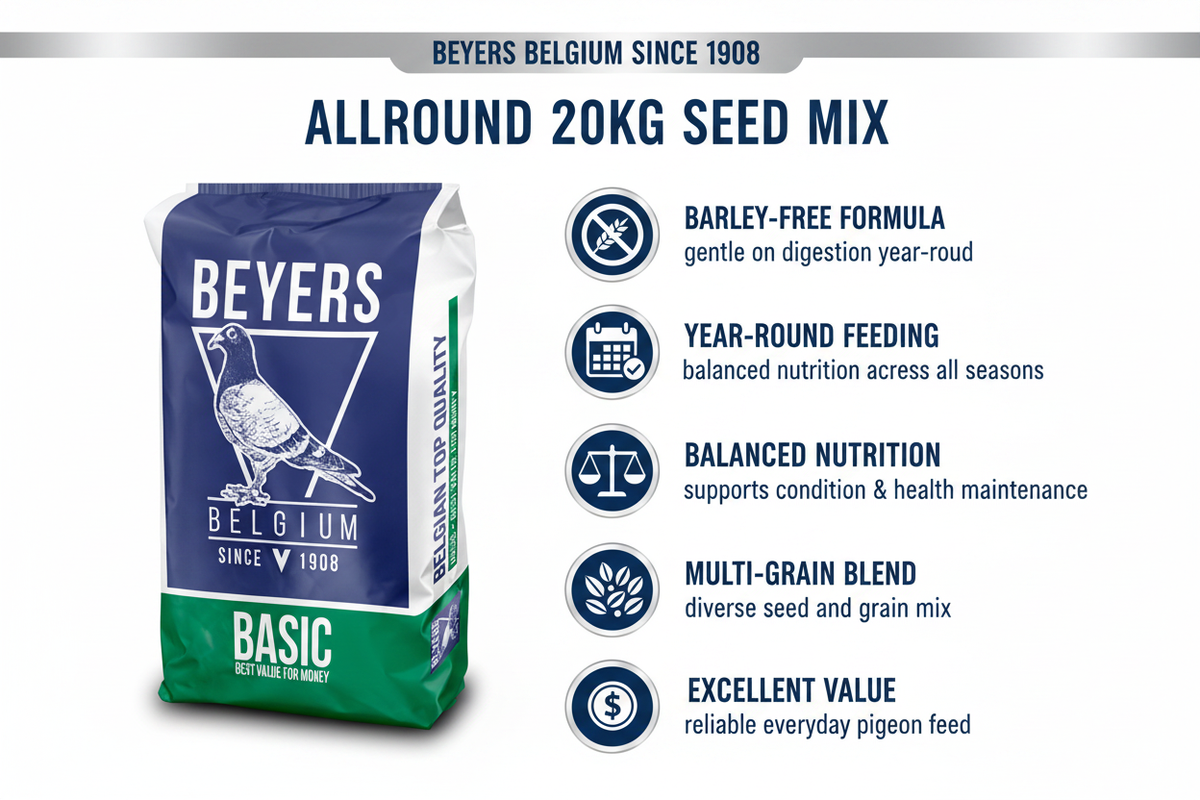 Beyers Basic Allround Infographic