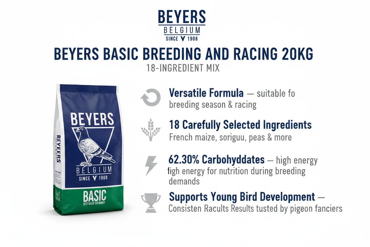 Beyers Basic Breeding and Racing Infographic
