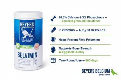 Beyers Belvmin Infographic