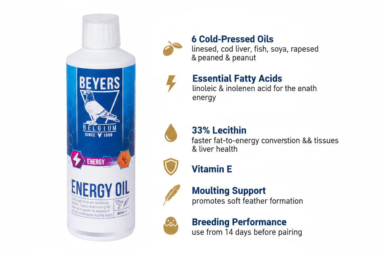 Beyers Energy Oil Infographic