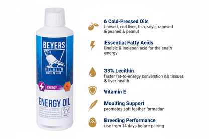 Beyers Energy Oil Infographic