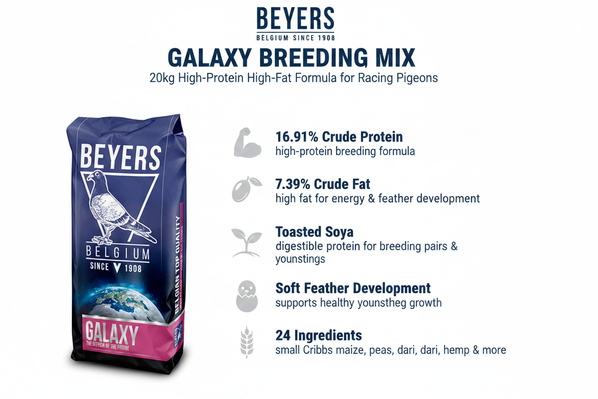 Beyers Galaxy Breeding Infographic