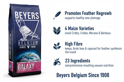 Beyers Galaxy Moulting Infographic