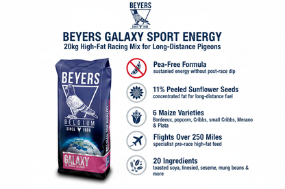 Beyers Galaxy Sport Energy Infographic