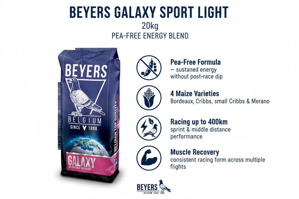 Beyers Galaxy Sport Light Infographic