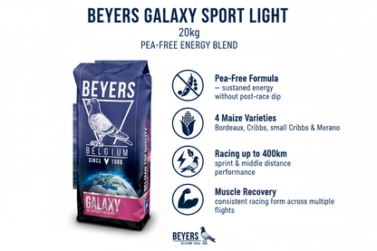 Beyers Galaxy Sport Light Infographic