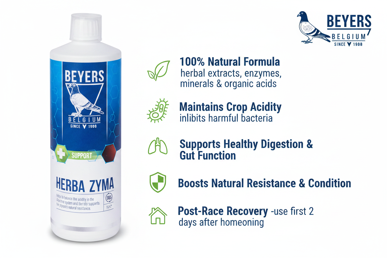 Beyers Herbazyma Infographic