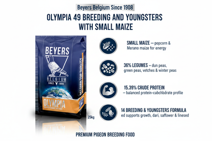 Beyers Olympia 49 Infographic