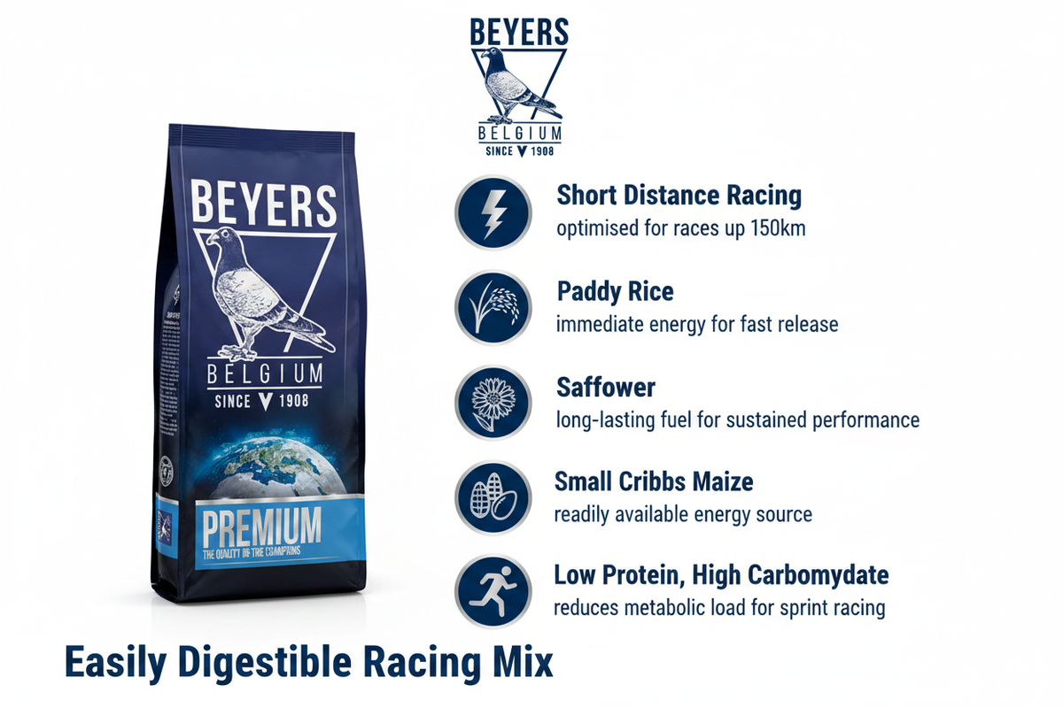 Beyers Premium Vandenabeele Infographic