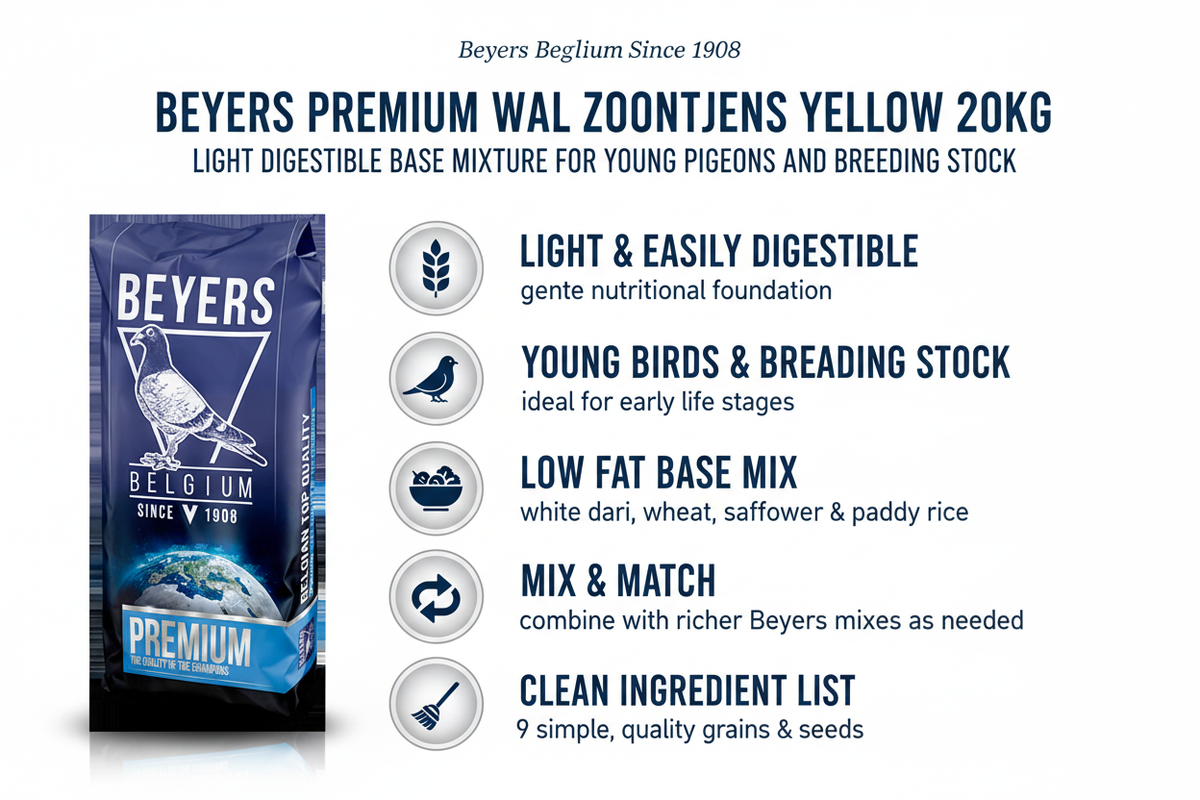 Beyers Premium Wal Zoontjens Yellow Infographic