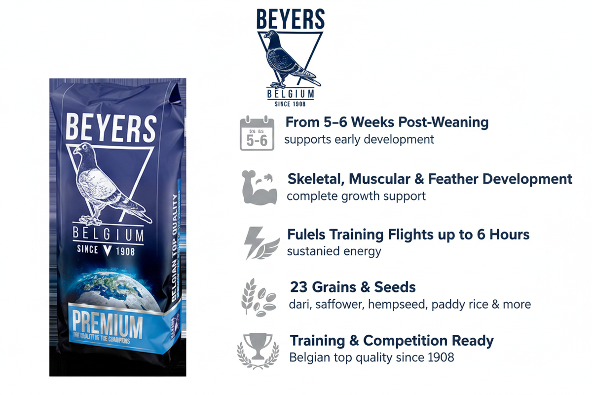 Beyers Premium Youngsters Infographic