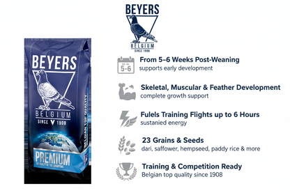 Beyers Premium Youngsters Infographic
