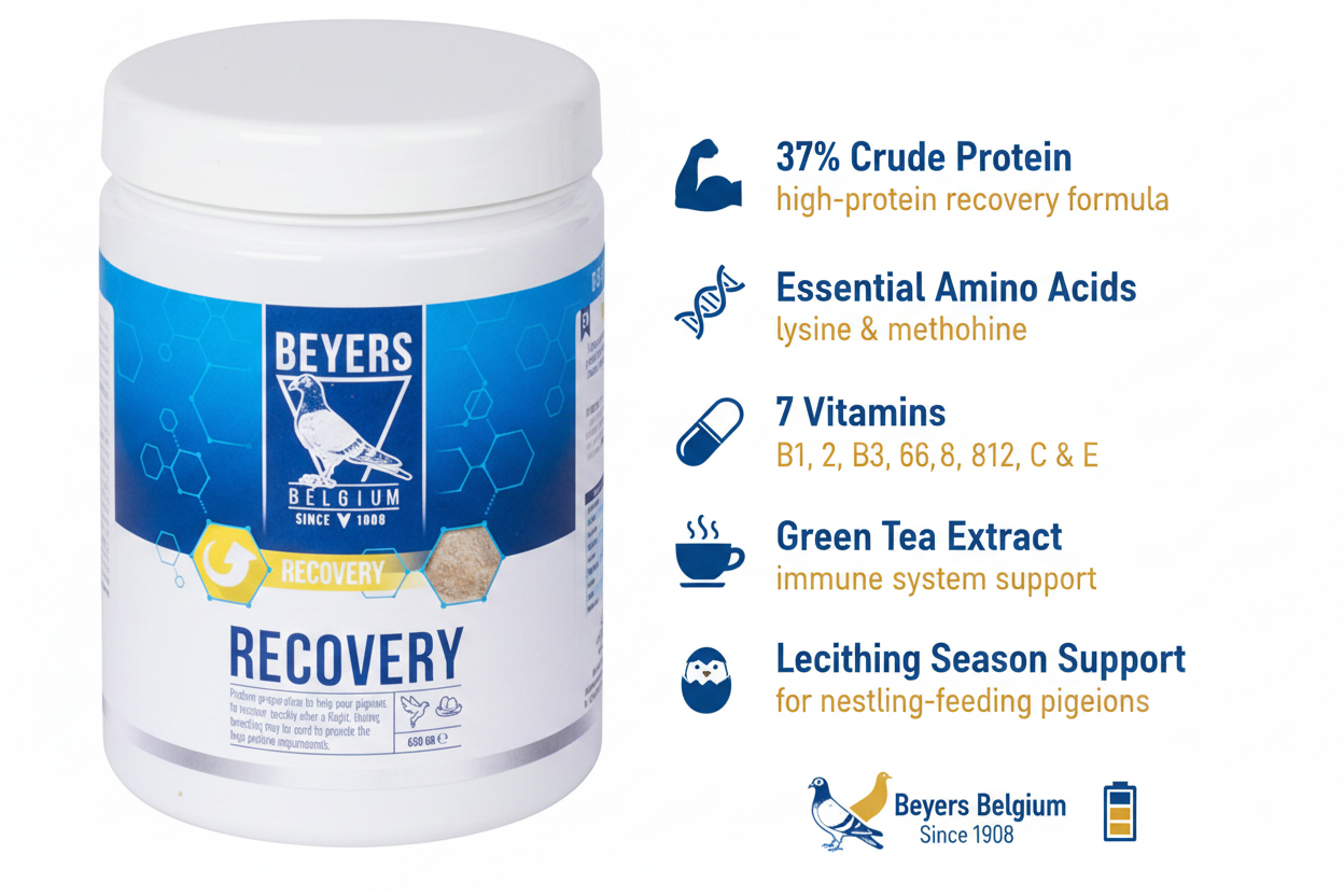 Beyers Recovery Infographic