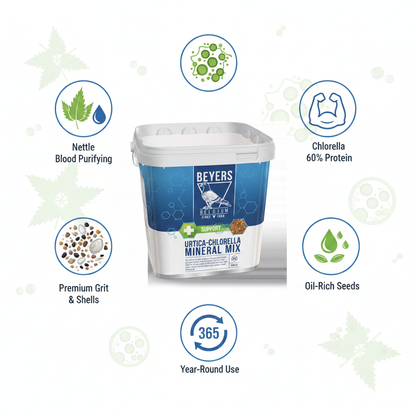 Beyers Urtica-Chlorella Mineral Mix Infographic