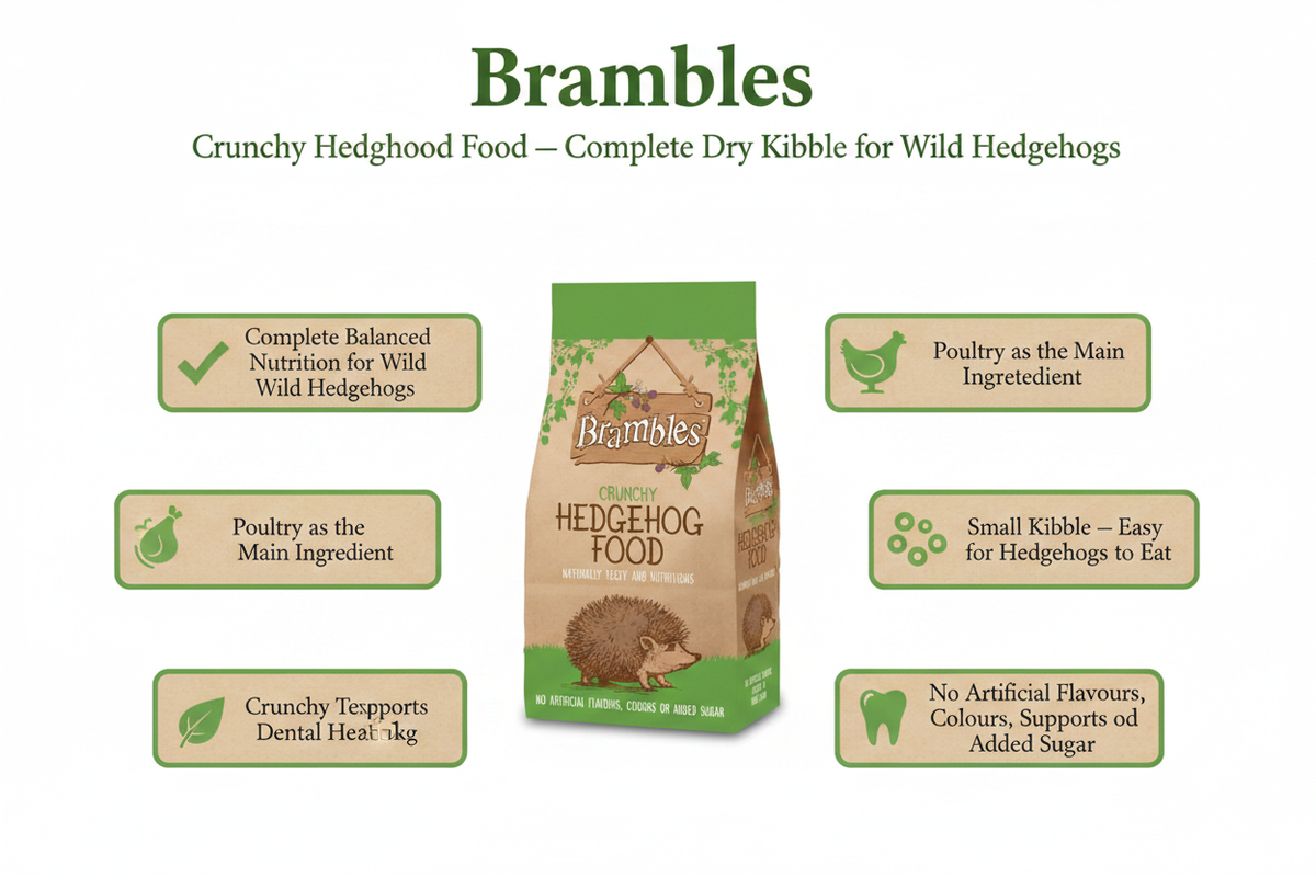 Brambles Crunchy Hedgehog Food Infographic