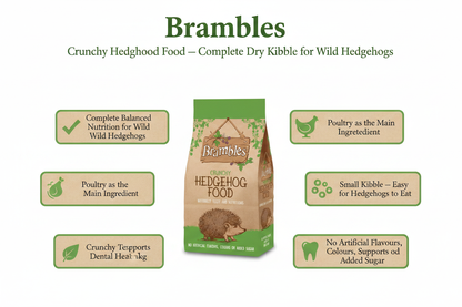Brambles Crunchy Hedgehog Food Infographic