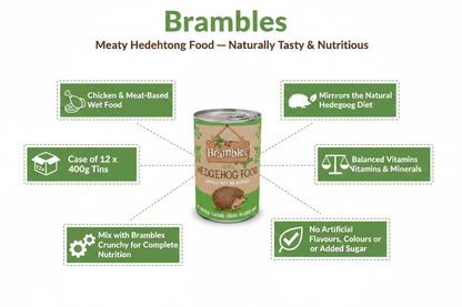 Brambles Meaty Hedgehog Food Infographic