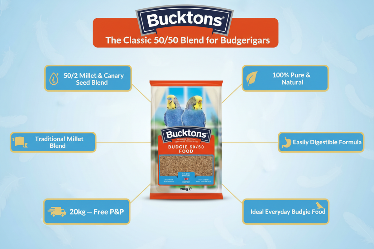 Bucktons 50/50 Budgie Food Infographic