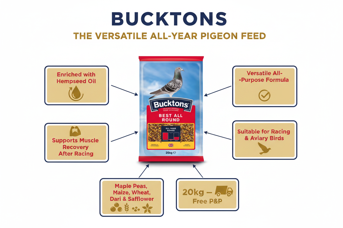 Bucktons Best All Round Pigeon Food Infographic