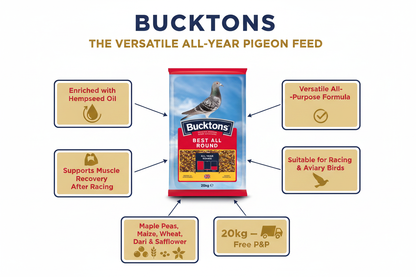 Bucktons Best All Round Pigeon Food Infographic