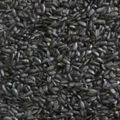 Little Peckers Black Sunflower Seed 15kg