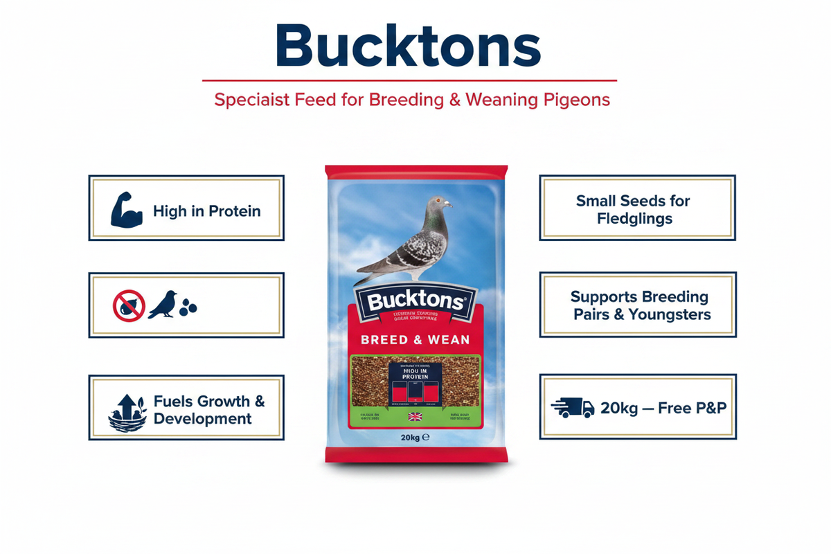 Bucktons Breed & Wean Mix Infographic
