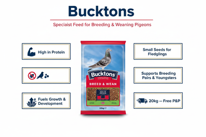 Bucktons Breed & Wean Mix Infographic