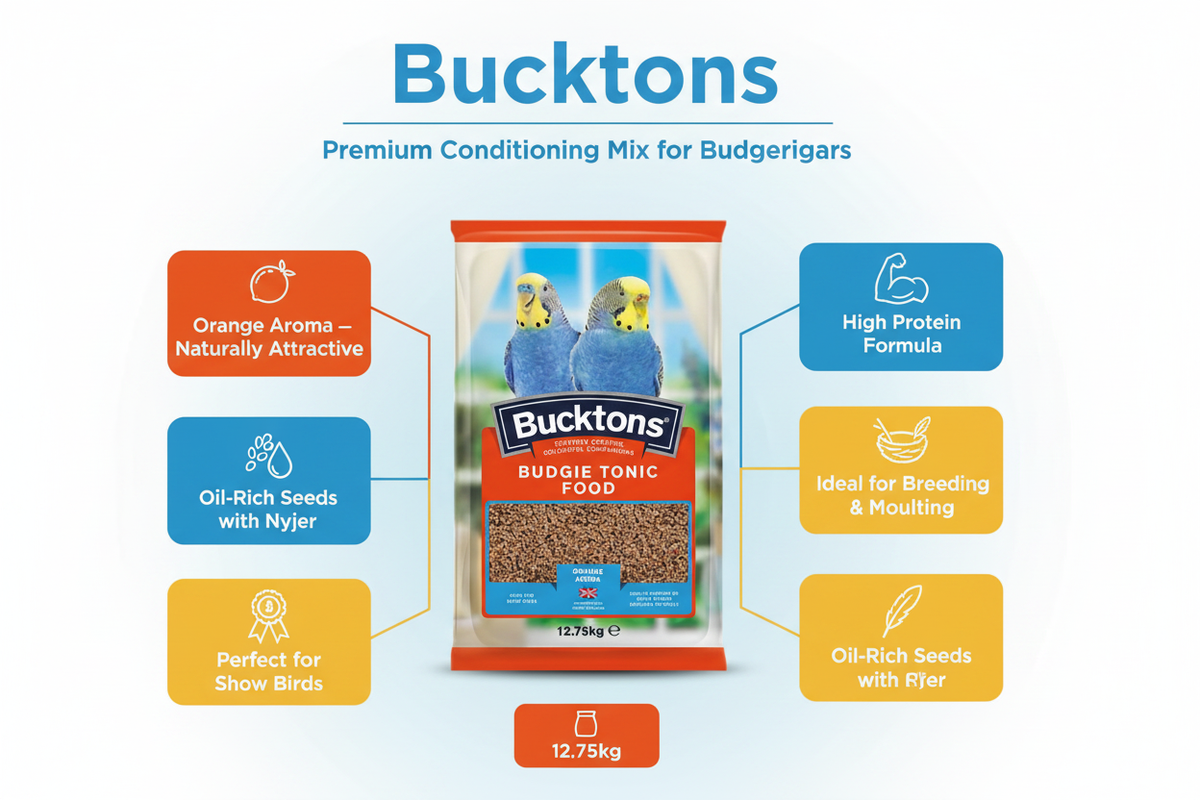 Bucktons Budgie Tonic Infographic