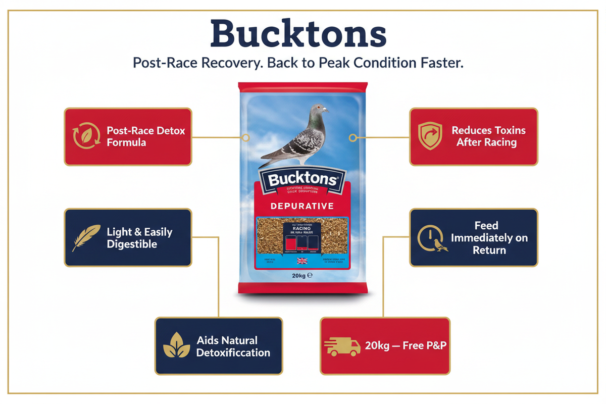 Bucktons Depurative Mix Infographic
