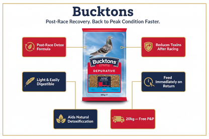 Bucktons Depurative Mix Infographic