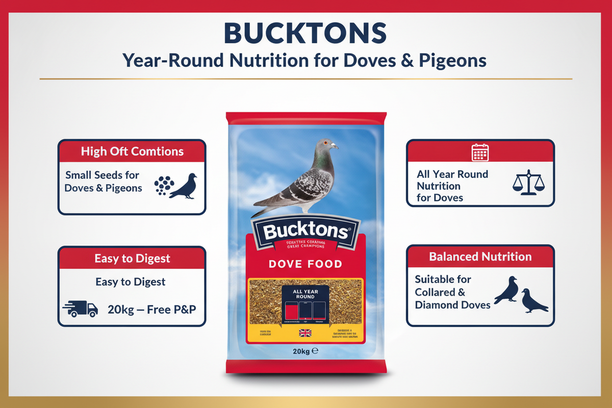 Bucktons Dove Food Infographic