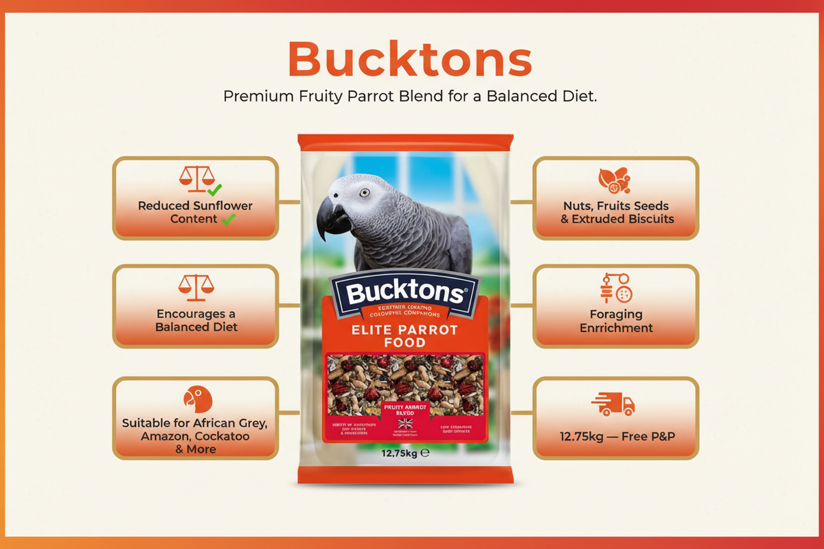 Bucktons Elite Parrot Food Infographic