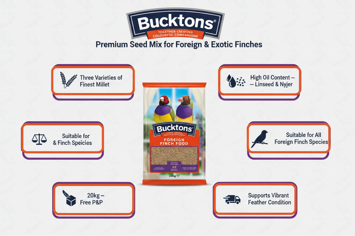 Bucktons Foreign Finch Food Infographic