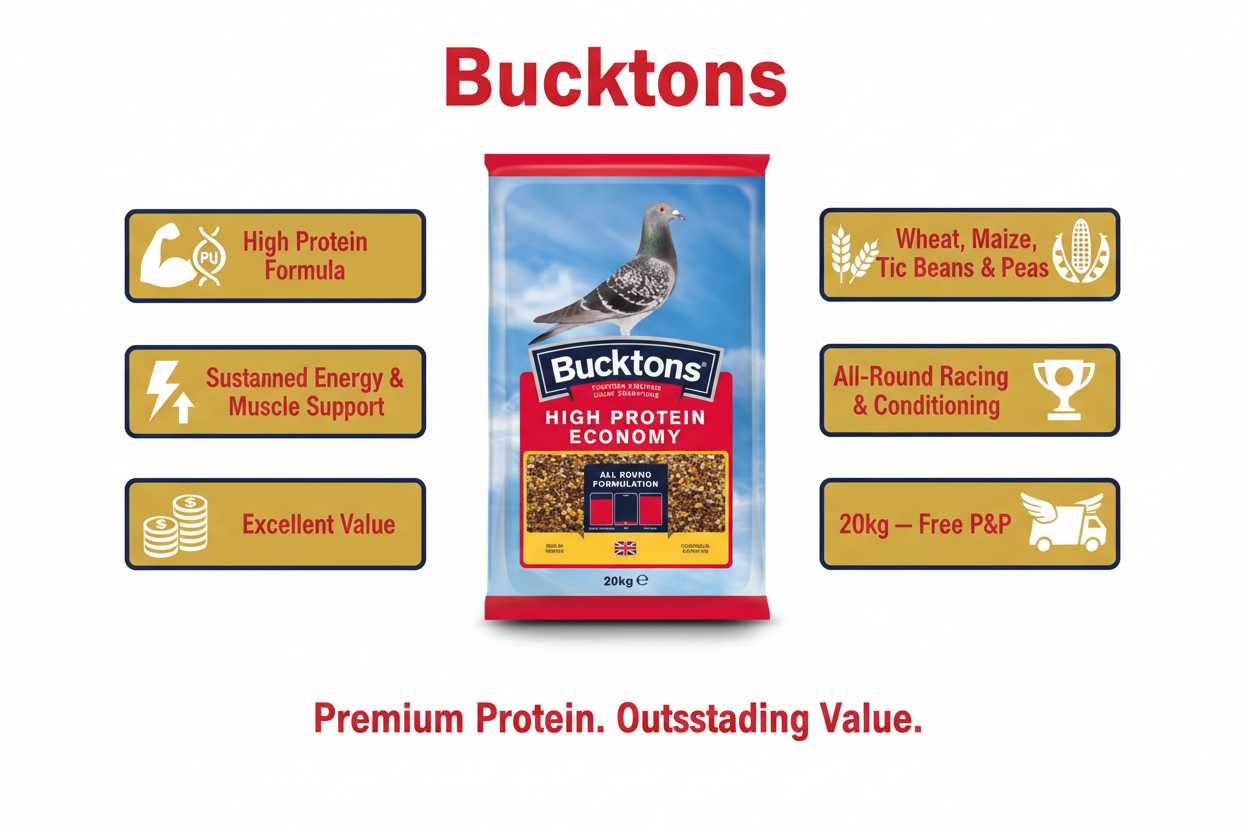 Bucktons High Protein Economy Infographic