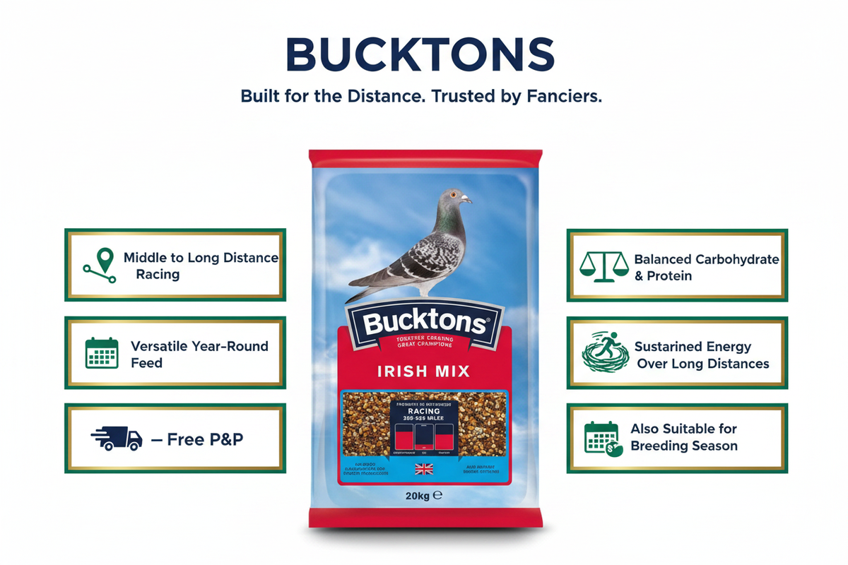 Bucktons Irish Mix Infographic