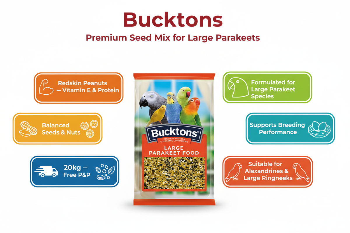 Bucktons Large Parakeet Food Infographic