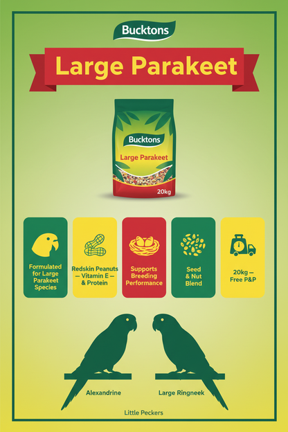 Bucktons Large Parakeet Infographic