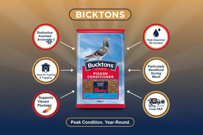 Bucktons Pigeon Conditioner Infographic