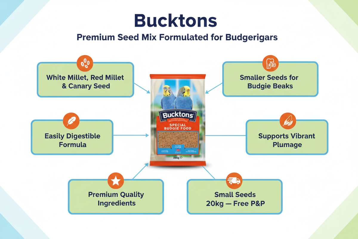 Bucktons Special Budgie Food Infographic
