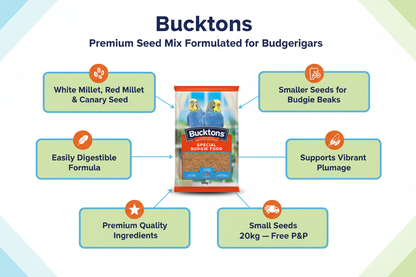 Bucktons Special Budgie Food Infographic