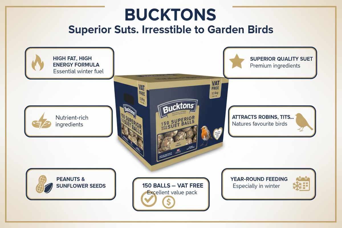 Bucktons Superior Suet Energy Balls Infographic