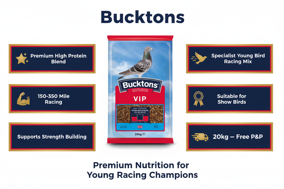 Bucktons VIP Pigeon Food Infographic