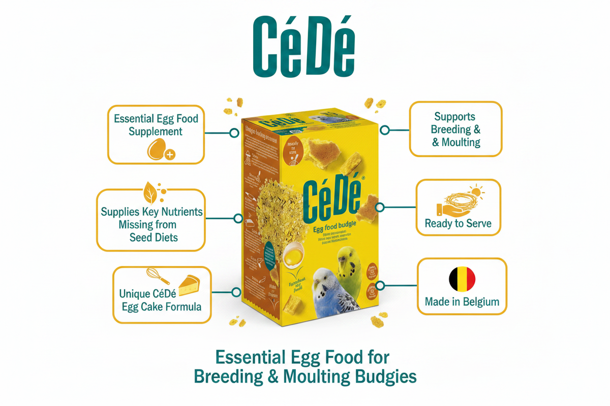 CéDé Budgie Rearing Food Infographic